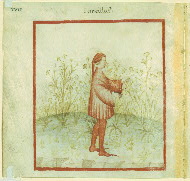PC.11, p. XVIII