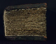 PC.4, Head after conservation