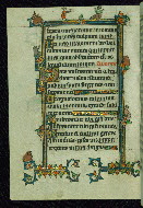 W.104, fol. 21v