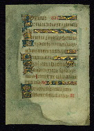W.105, fol. 49v