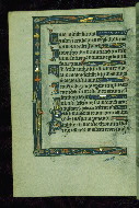 W.113, fol. 13v