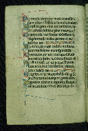 W.116, fol. 13v