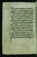 W.116, fol. 45v