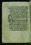 W.116, fol. 55v