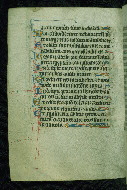 W.116, fol. 80v