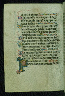 W.116, fol. 92v