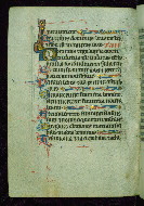W.116, fol. 101v
