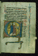 W.116, fol. 106r