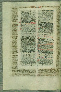W.133, fol. 238v