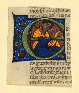 W.152, Fragment 20, front