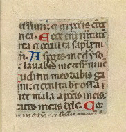 W.152, Fragment 29, back