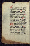 W.16, fol. 10v
