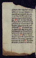 W.16, fol. 42v