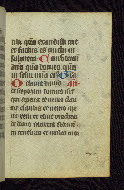 W.163, fol. 29r