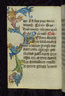 W.163, fol. 29v
