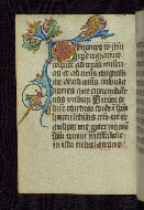 W.163, fol. 30v