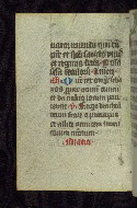 W.163, fol. 36v