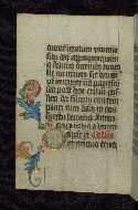 W.163, fol. 173v
