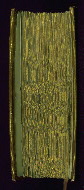 W.164, Fore-edge