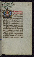 W.165, fol. 117r