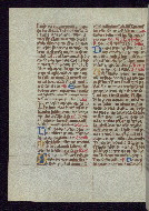 W.175, fol. 49v