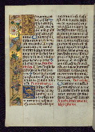 W.175, fol. 110v