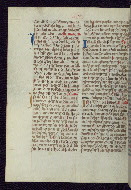W.175, fol. 216v