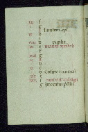 W.177, fol. 10v