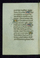 W.177, fol. 51v