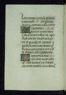 W.177, fol. 60v
