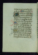 W.177, fol. 97v