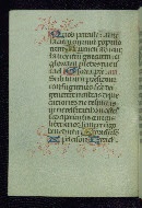W.177, fol. 98v