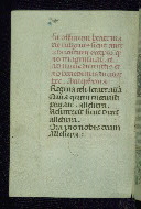 W.177, fol. 113v