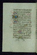 W.177, fol. 125v