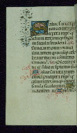 W.177, fol. 216v