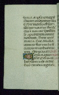 W.177, fol. 225v