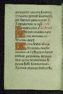 W.178, fol. 26v