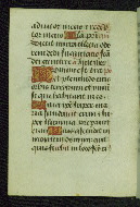 W.178, fol. 41v