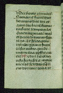 W.178, fol. 177v