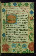 W.178, fol. 196r