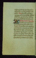 W.179, fol. 31v
