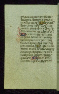 W.179, fol. 41v