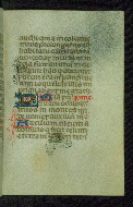 W.179, fol. 80r