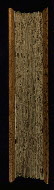W.18, Fore-edge
