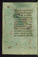 W.186, fol. 29v