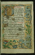 W.189, fol. 44r