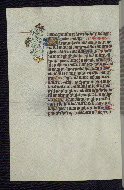W.192, fol. 17v
