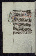 W.192, fol. 81v