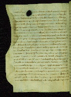 W.2, fol. 19v