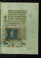W.202, fol. 141r